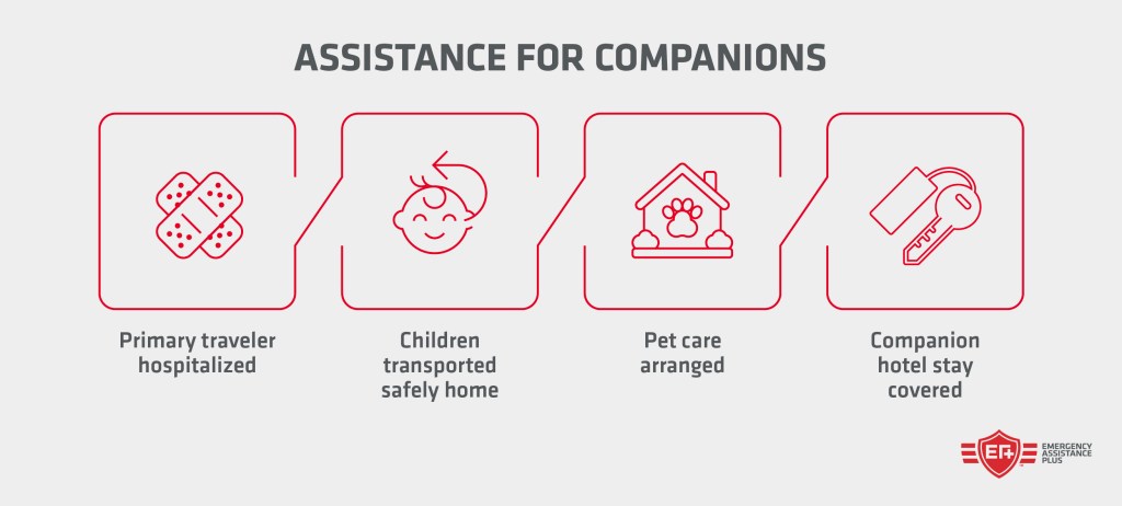 Assistance for companions